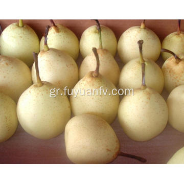 Καλή ποιότητα Sweet Fresh Ya Pear προς πώληση